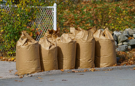 bags of yard debris