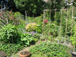 large community garden