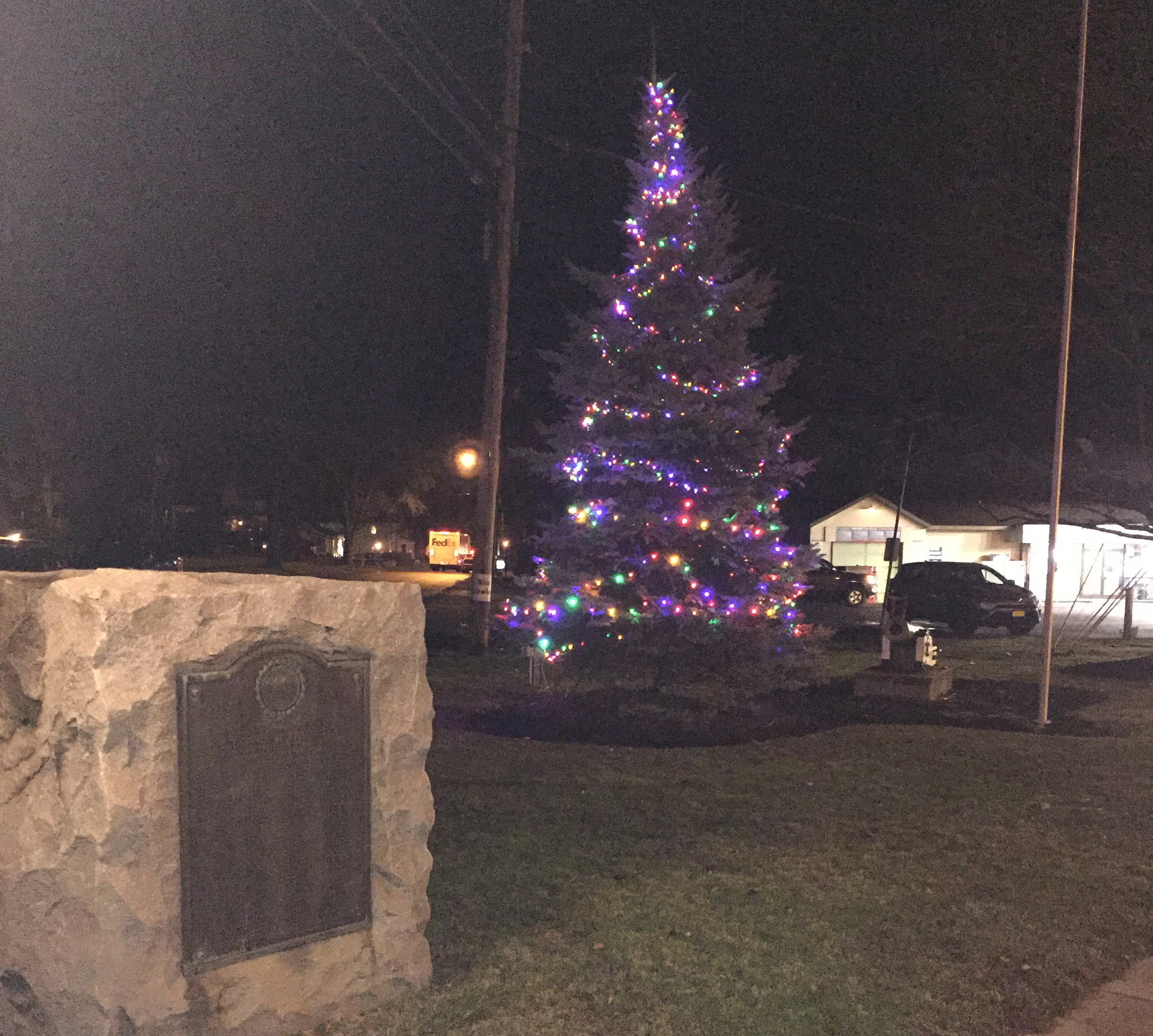 village christmas tree lit